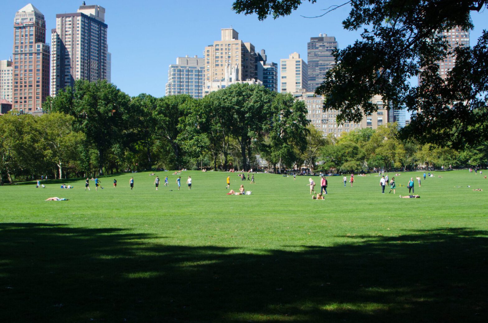 Zdjęcie ludzi w parku, z wieżowcami w tle